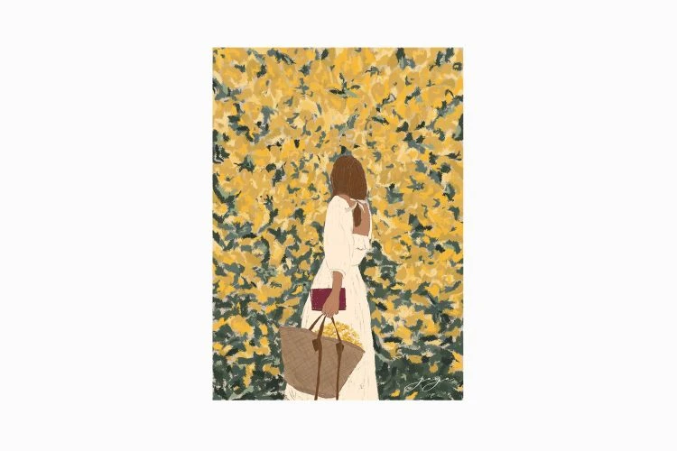 Bunch Of Bougainvillea 2