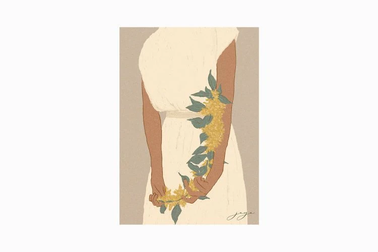 Bunch Of Bougainvillea