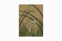 Palm Leaves And The Butterfly