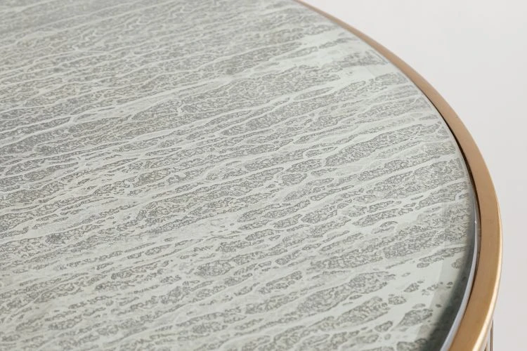 Fossil Coffee Table - Image 5