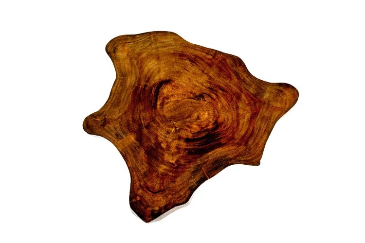 Amoeba Coffee Table - Image 3