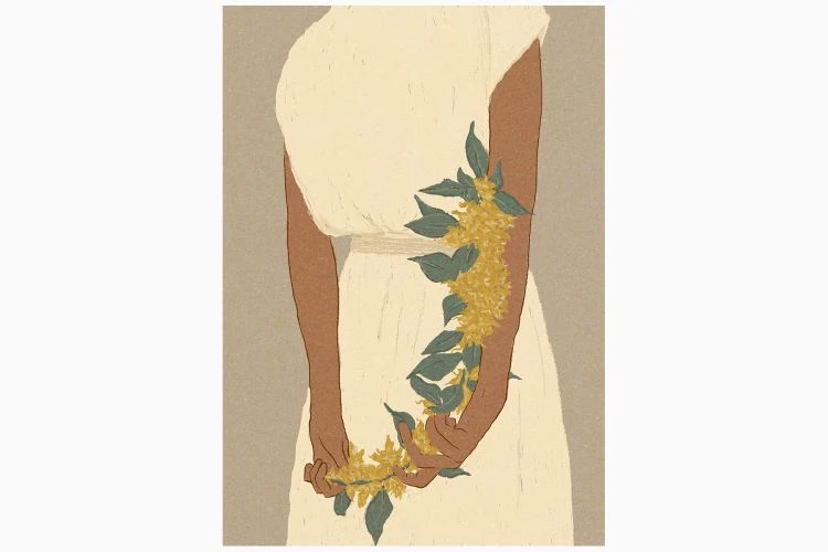 Bunch Of Bougainvillea - Image 4