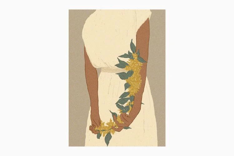 Bunch Of Bougainvillea - Image 3