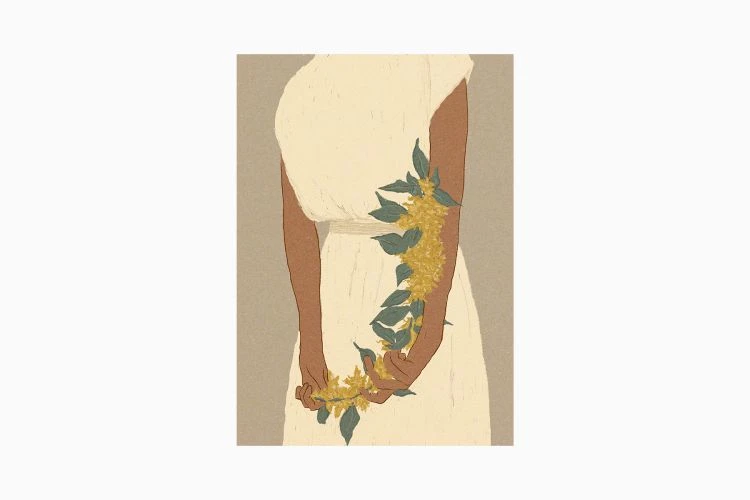 Bunch Of Bougainvillea - Image 2