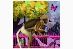 Dr. Rami Martin Art Print - 2