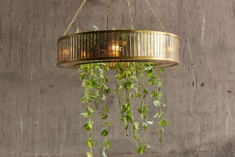 Fossil Chandelier - Image 2