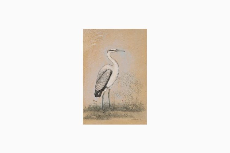 Grey Heron - Image 2