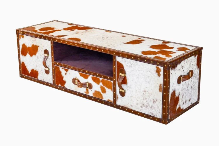 Hairon Streamer Trunk Plasma Console - Image 2