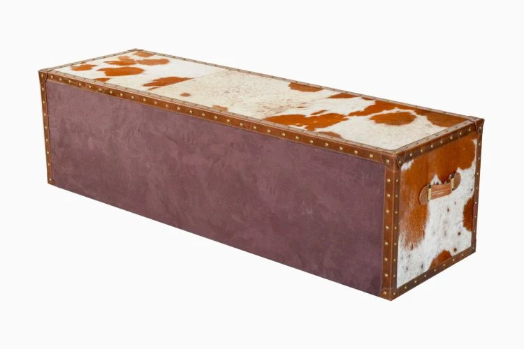 Hairon Streamer Trunk Plasma Console - Image 4