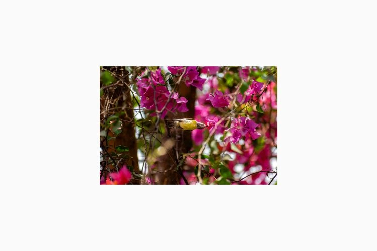 Morning Stretch - Image 2