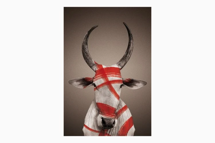 Nandi Chowkad Poster