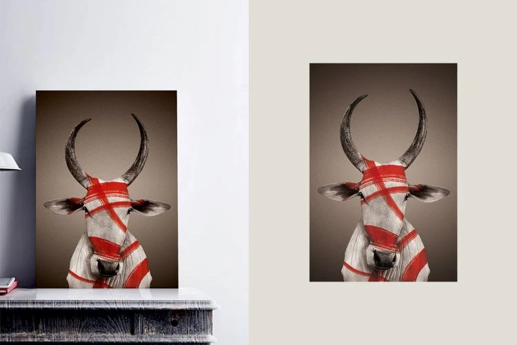 Nandi With Bindi Poster - Image 3