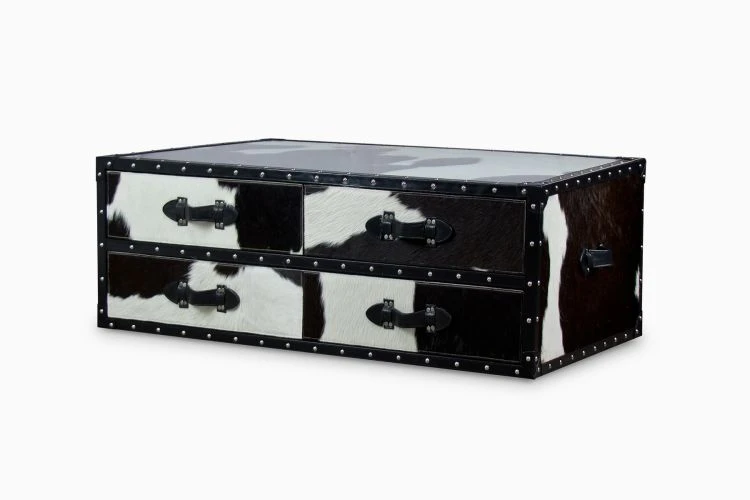 Timothy Trunk Coffee Table