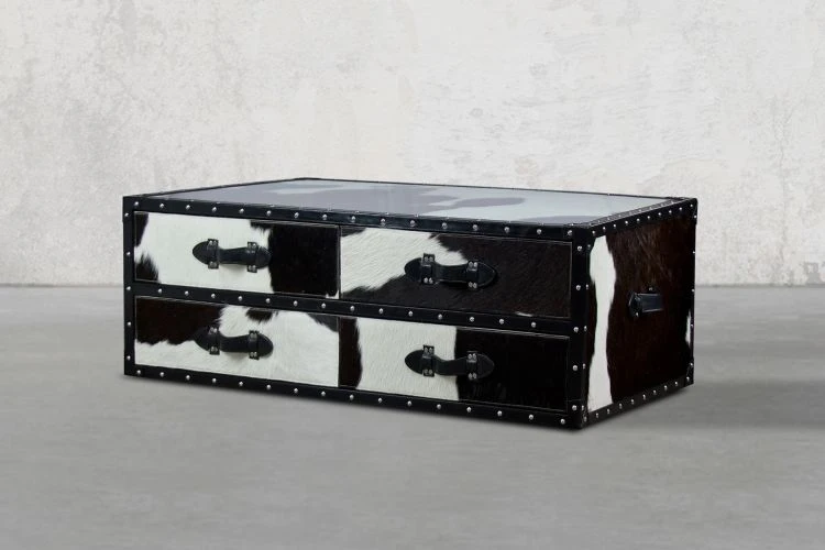 Timothy Trunk Coffee Table - Image 2