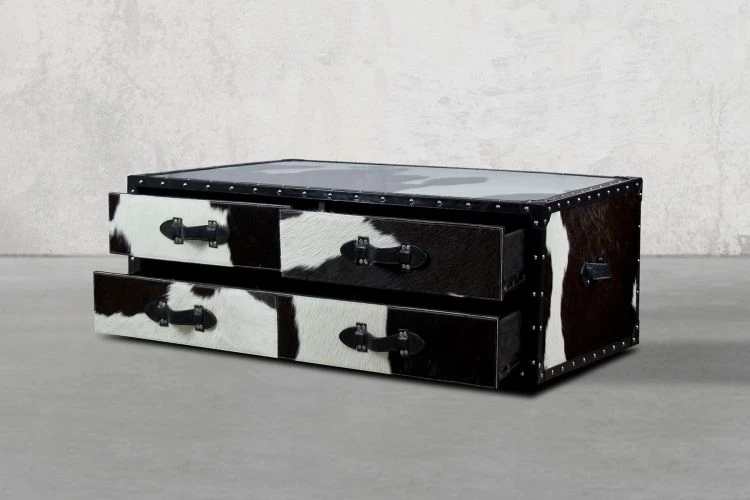 Timothy Trunk Coffee Table - Image 3