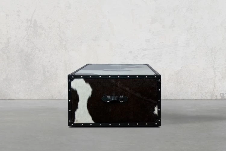 Timothy Trunk Coffee Table - Image 4