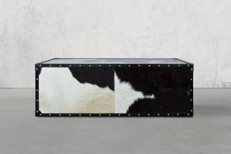 Timothy Trunk Coffee Table - Image 5