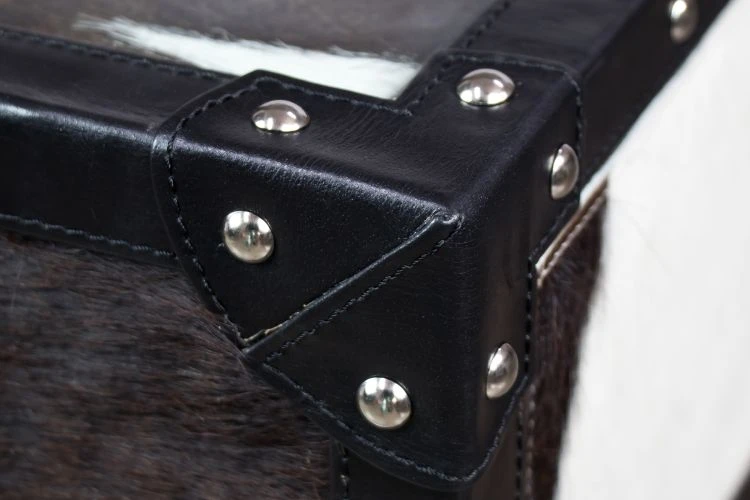 Timothy Trunk Coffee Table - Image 7