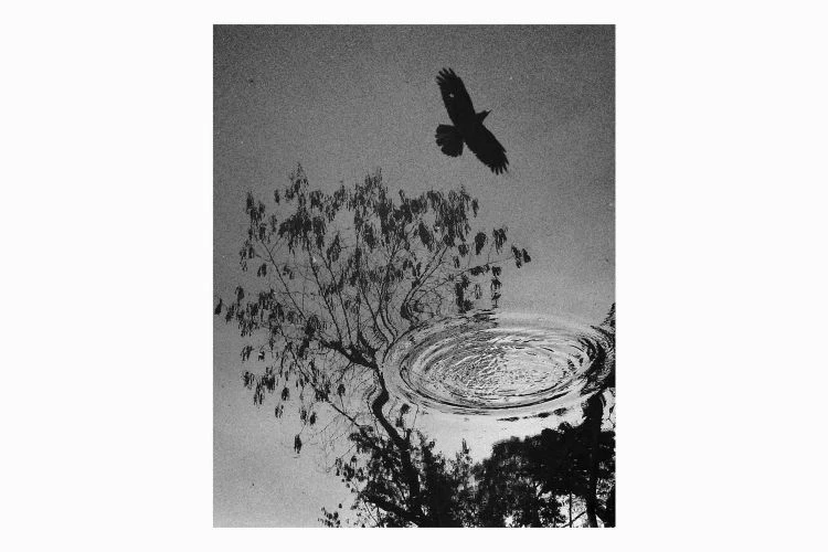 Untitled #1 - Image 3