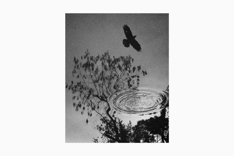 Untitled #1 - Image 2