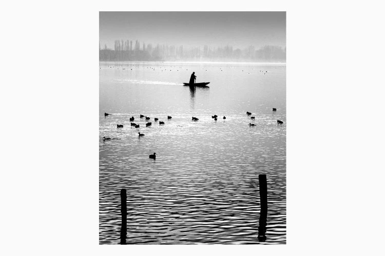 Untitled #14 - Image 4