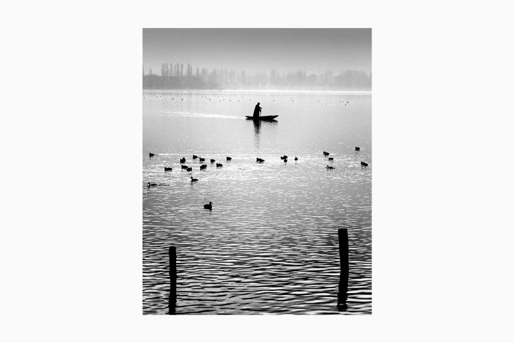 Untitled #14 - Image 3