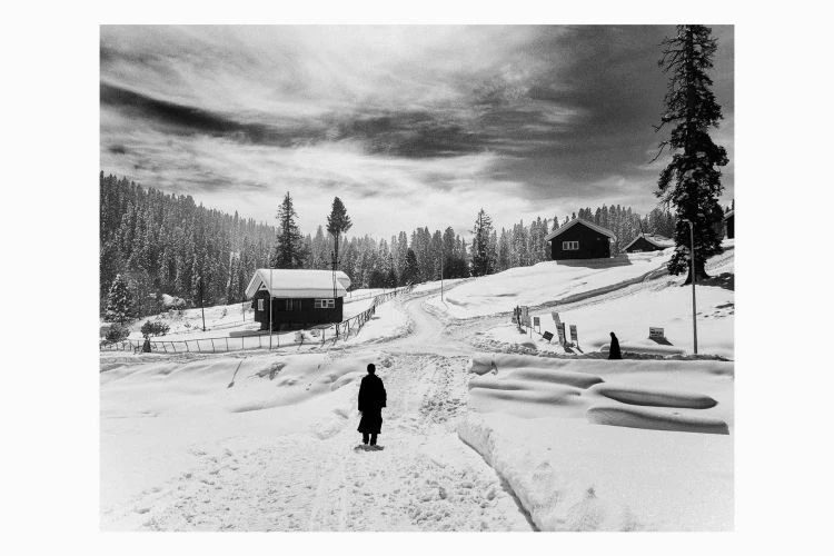 Untitled #19 - Image 3