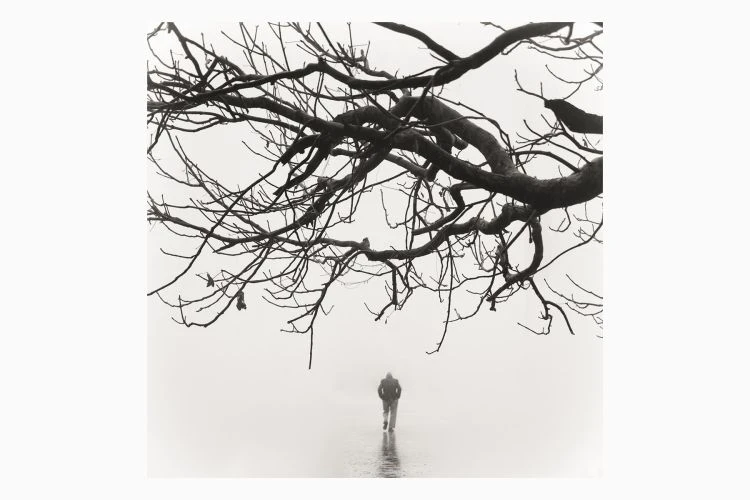 Untitled #25 - Image 2