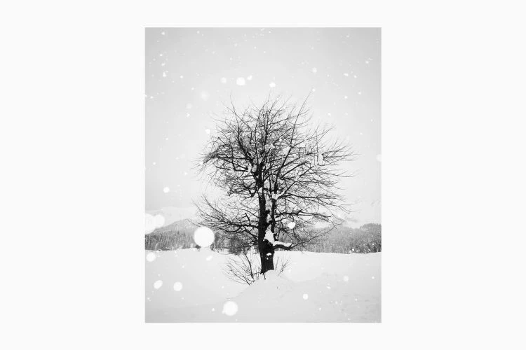 Untitled #3 - Image 2