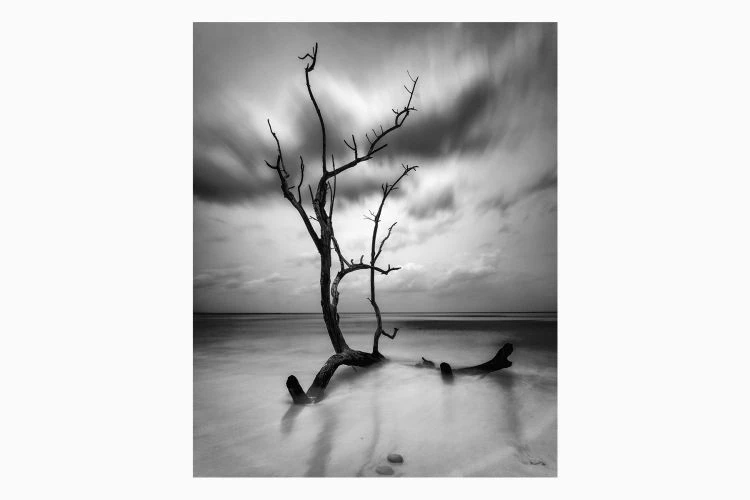 Untitled #4 - Image 3