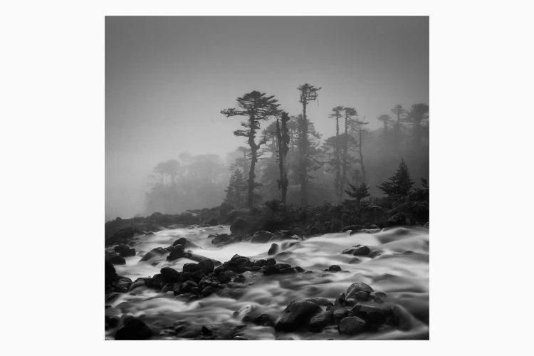 Untitled #7 - Image 2