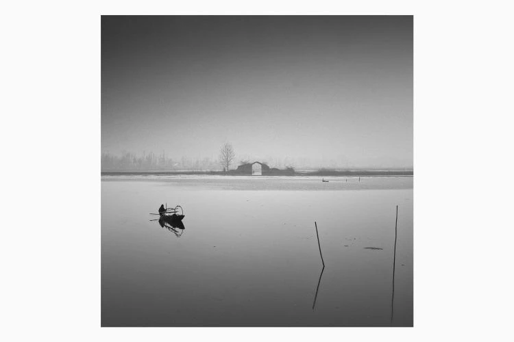 Untitled #8 - Image 2