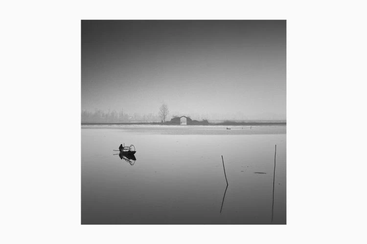 Untitled #8 - Image 3