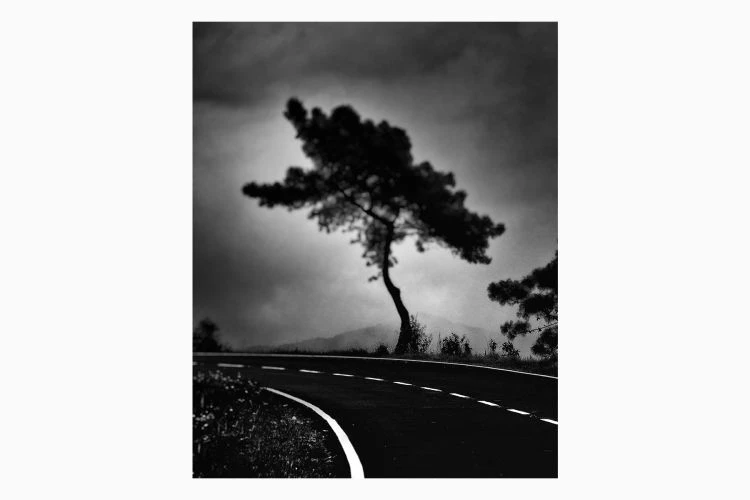 Untitled #9 - Image 4