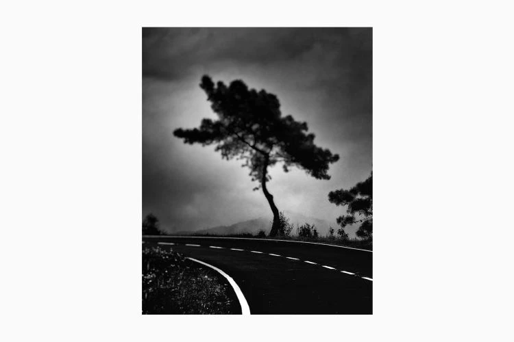 Untitled #9 - Image 3